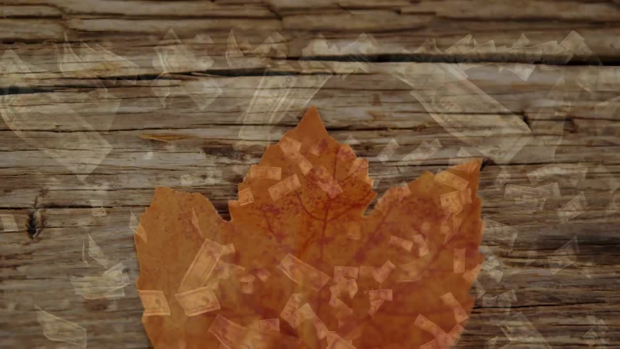 animación de billetes de dólar estadounidense cayendo sobre una hoja de arce