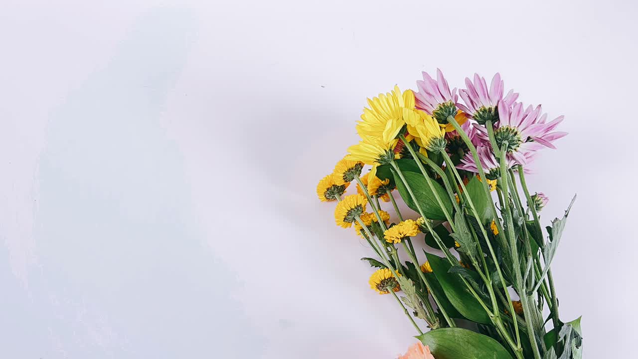 다채로운 꽃봉오리