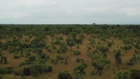 aerial shot of the african savannah a mikumi national park, tanzania