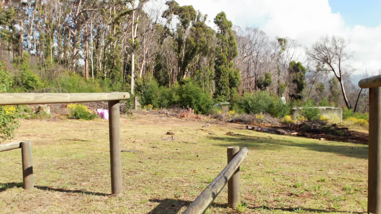mujer en forma saltando por encima de los obstáculos durante una carrera de obstáculos