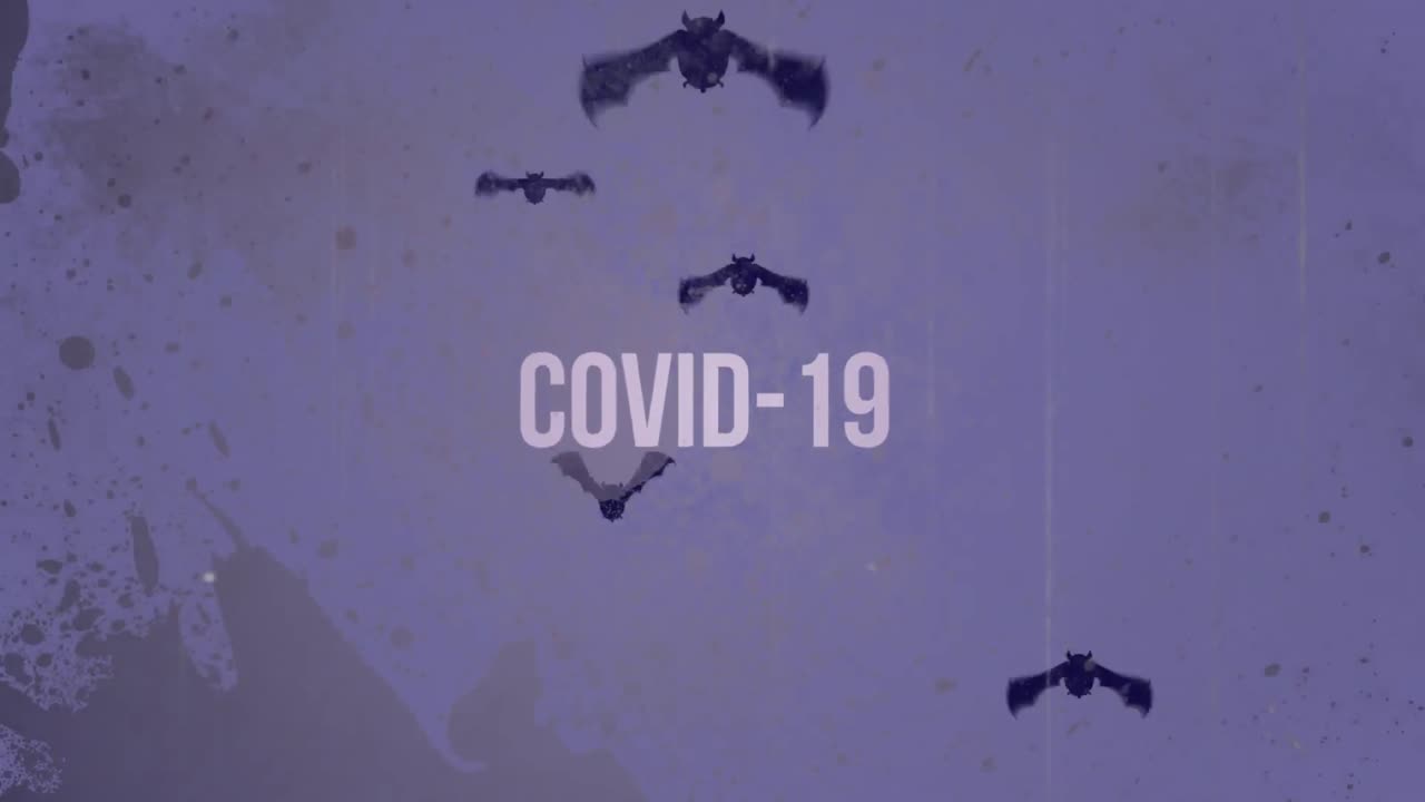 animación de murciélagos volando con texto de covid-19 en un fondo púrpura angustiado