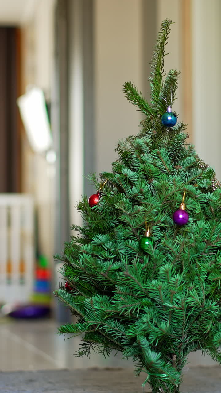 Black yellow-eyed domestic cat comes up to a Christmas tree. The pet is scared by something and hides behind the tree. Vertical video