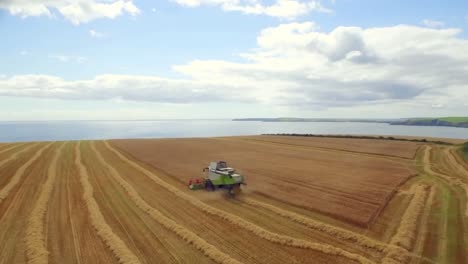 Drone-footage-of-golden-fields-