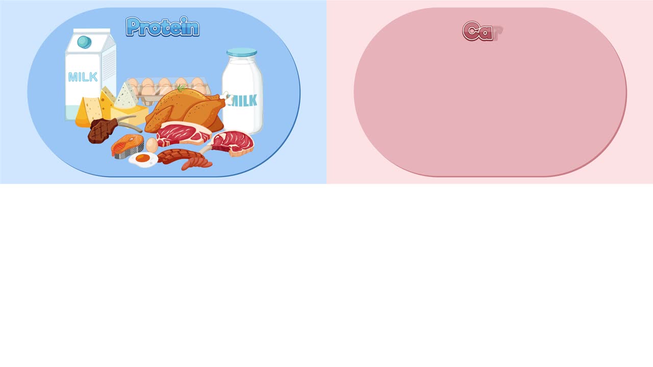 다양한 식품 그룹과 영양을 묘사하는 애니메이션