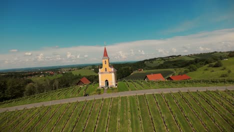 fpv aerial drone speeding over large farm field of agricultural food crops for harvest