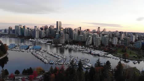 aerial of the autumn fall trees and entire vancouver downtown skyline