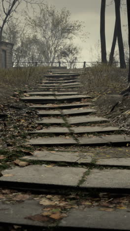 stone steps leading up through a foggy forest