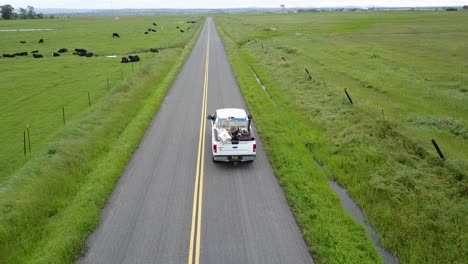 camión viaja por camino rural