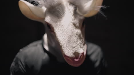 person wearing sheep mask