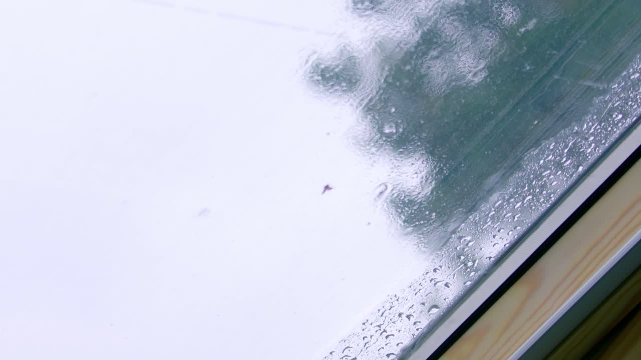 Closeup view of rain drops dripping down the windowpane.