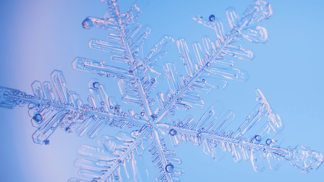 현미경 패닝 보기 파란색 배경 세부 정보에서 눈송이 닫기