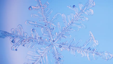 Snowflake-close-up-under-microscope-panning-view-blue-background-fine-details