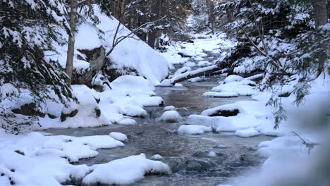 water flows babbling down icy stream covered with snow and trees calmly