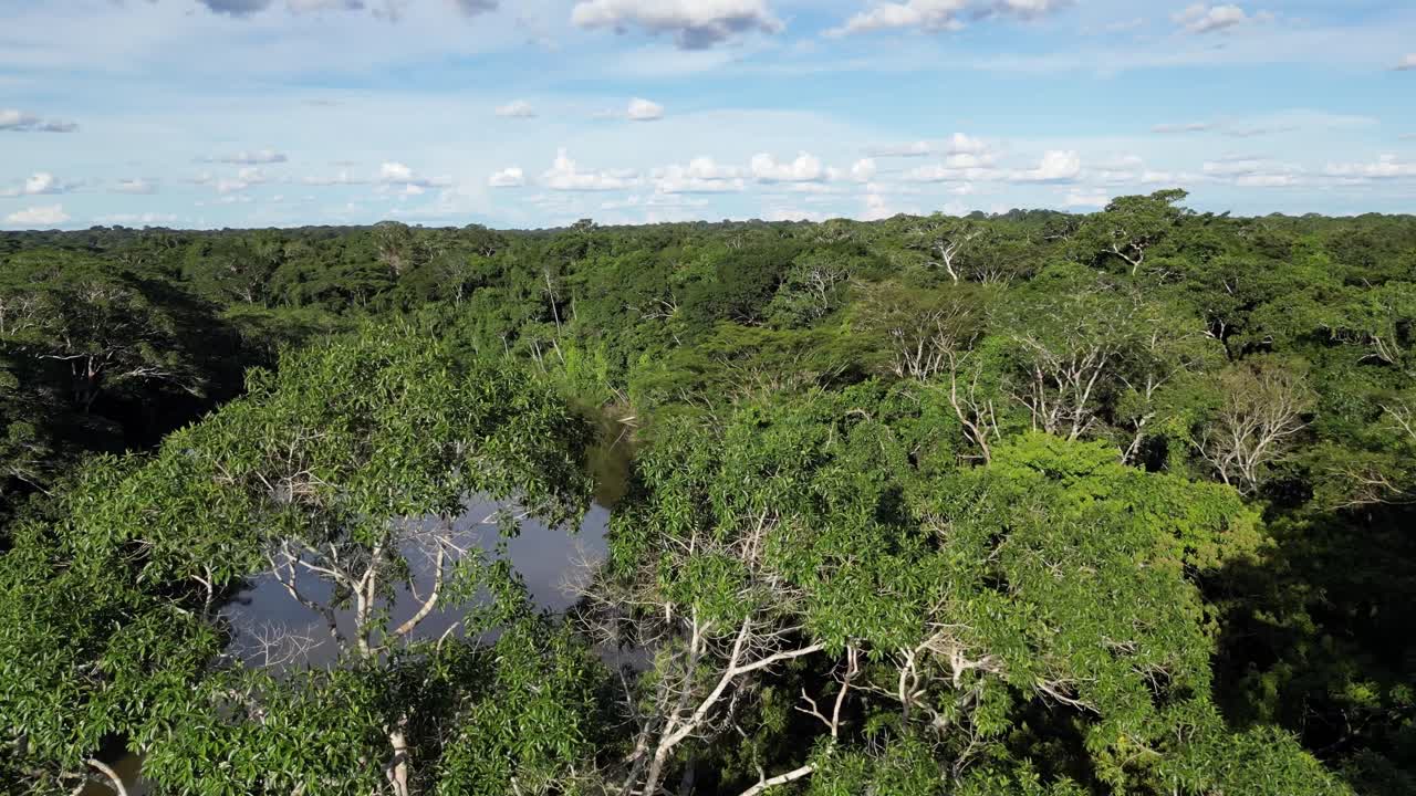 Drone footage of the Amazon River carving through lush, untouched rainforest under bright, clear skies