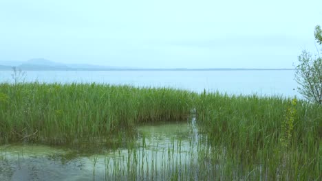 Vista-Panorámica-Del-Lago-De-Garda-Desde-Sirmione-Con-Patos,-Montañas-Y-Cielo-Azul