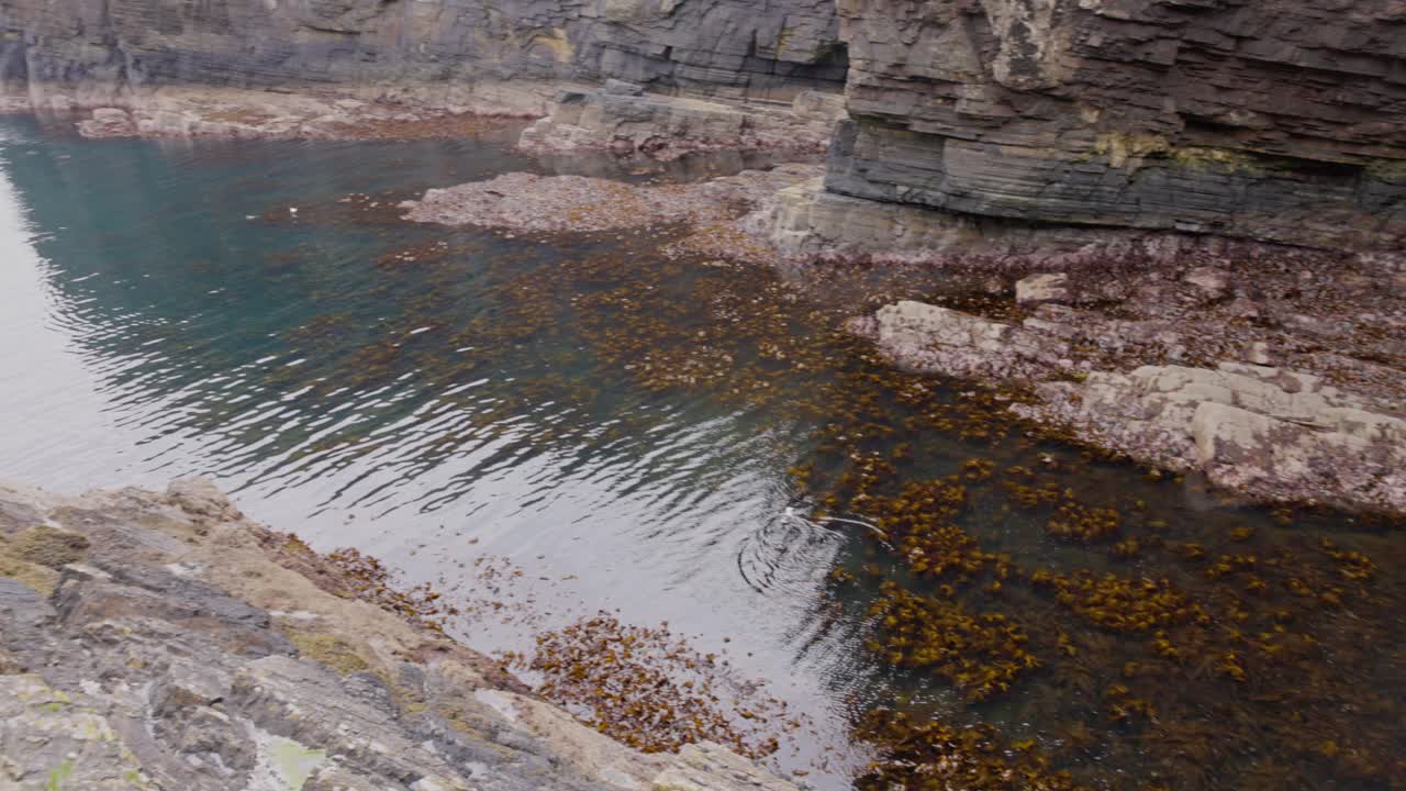 revealing shot of the seaweed floating in the transparent water at the Whaliggoe Steps