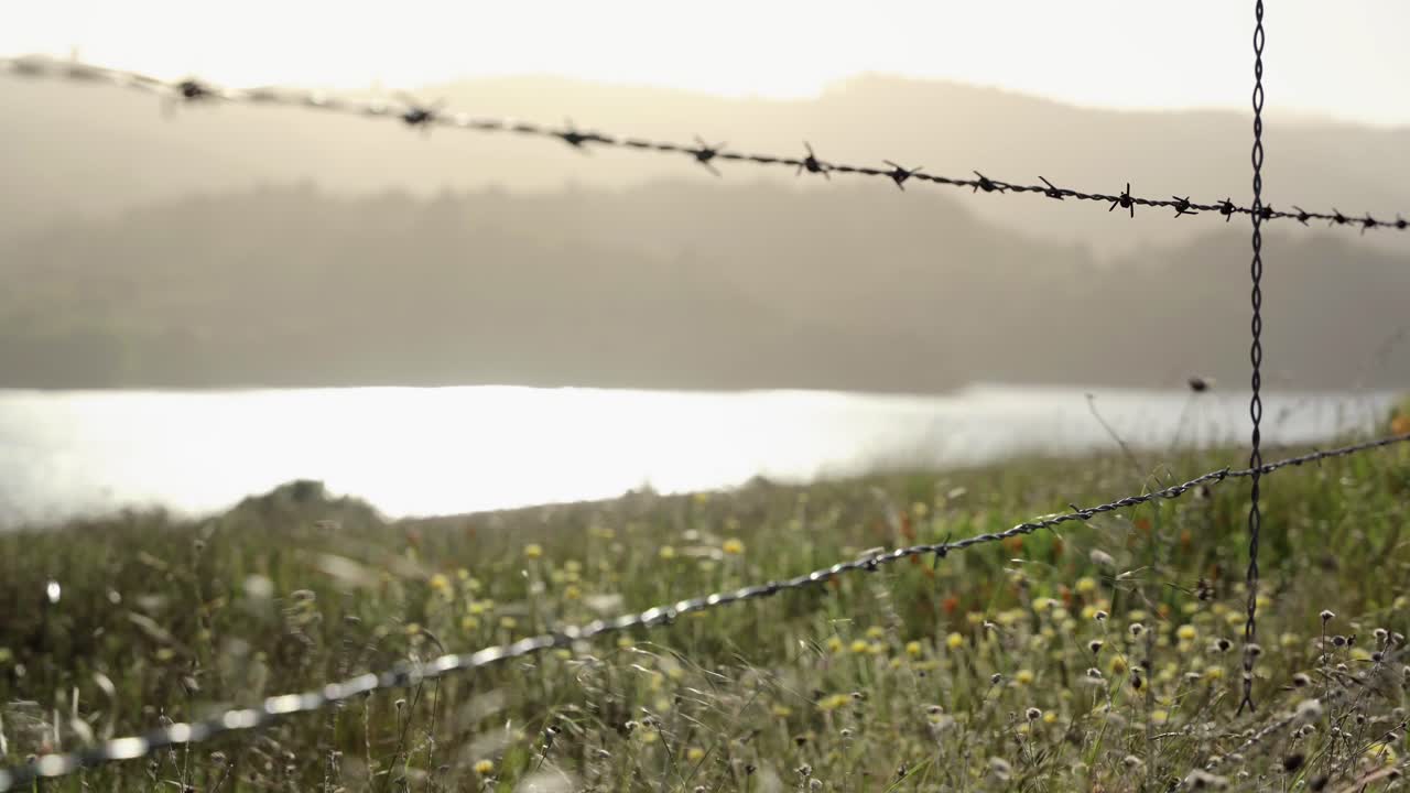 호수 옆 숲의 바람이 부는 날