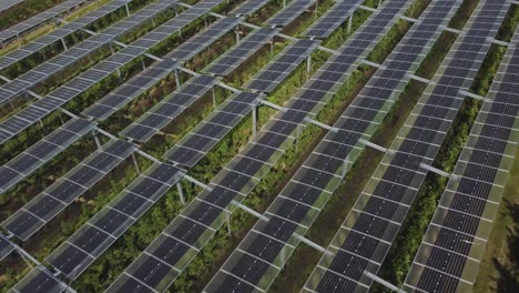 Hacia-Atrás-Sobre-La-Energía-Solar-En-Vastas-Tierras-Agrícolas-En-Grafschaft,-Alemania---Concepto-De-Sistemas-Agrivoltaicos,-Revelación-Aérea