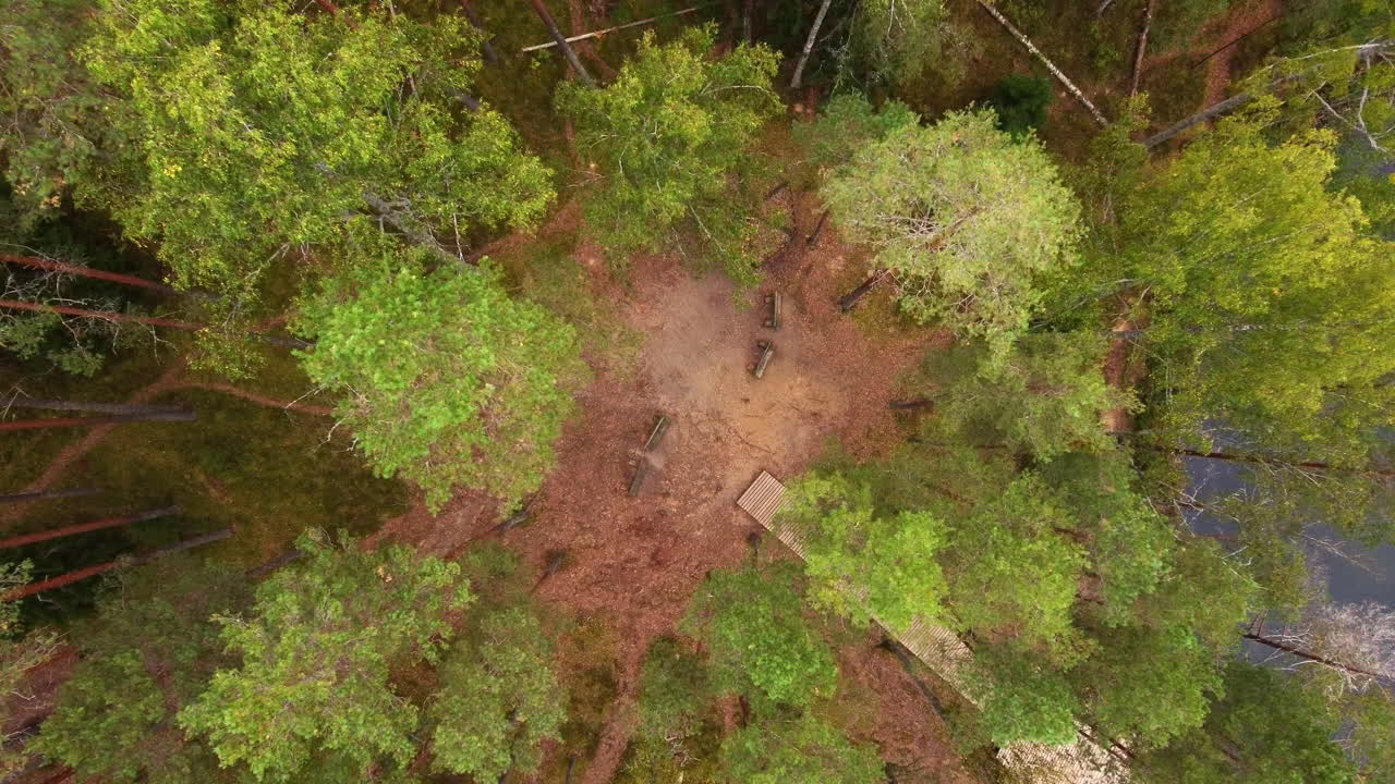 Aerial view of dense forest with clearing near lake in Certoks-Velnezers, Latvia