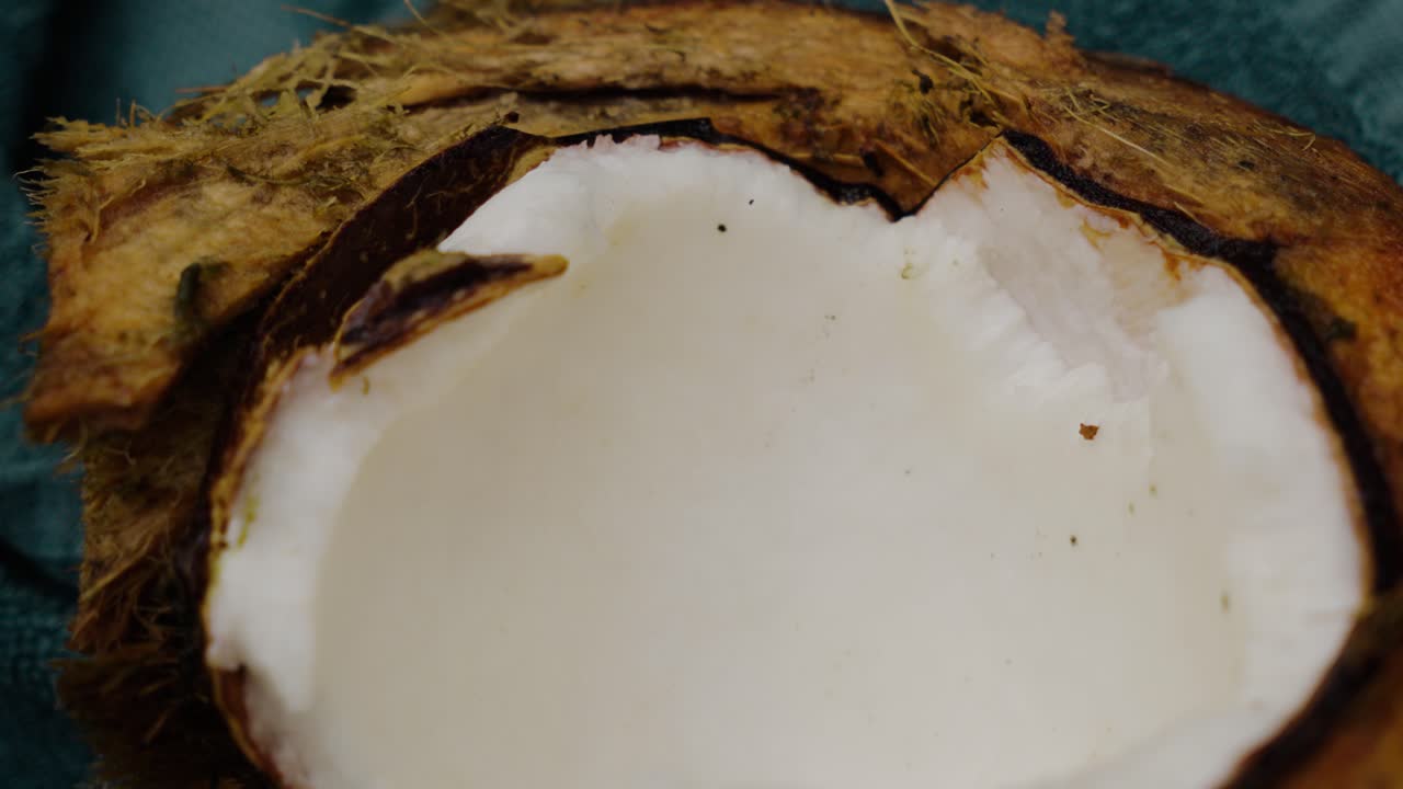 An extreme closeup of a cracked coconut shows smooth white flesh bordered by rugged brown shell and fibrous husk, capturing raw organic texture in this natural tropical food scene.