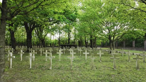 cruces blancas en el antiguo cementerio militar de la segunda guerra mundial