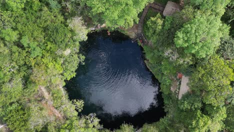 Aerial-rises:-Lone-tourist-swims-in-Cenote-Kikil,-Yucatan,-Mexico