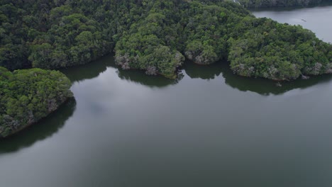 serene environment at lake morris in cairns region, queensland, australia - aerial shot