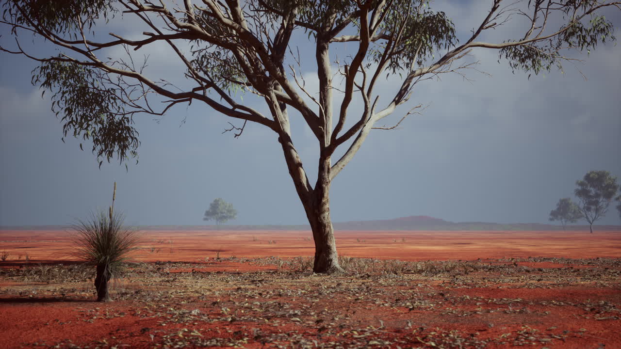 paisaje del interior de australia