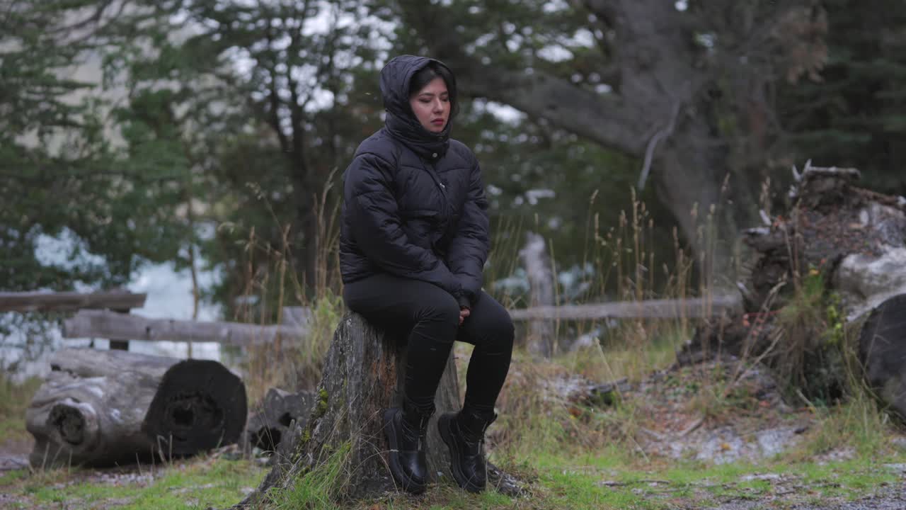 Woman dressed in winter clothing sits pensively on tree stump, surrounded by muted tones of cold Patagonian forest