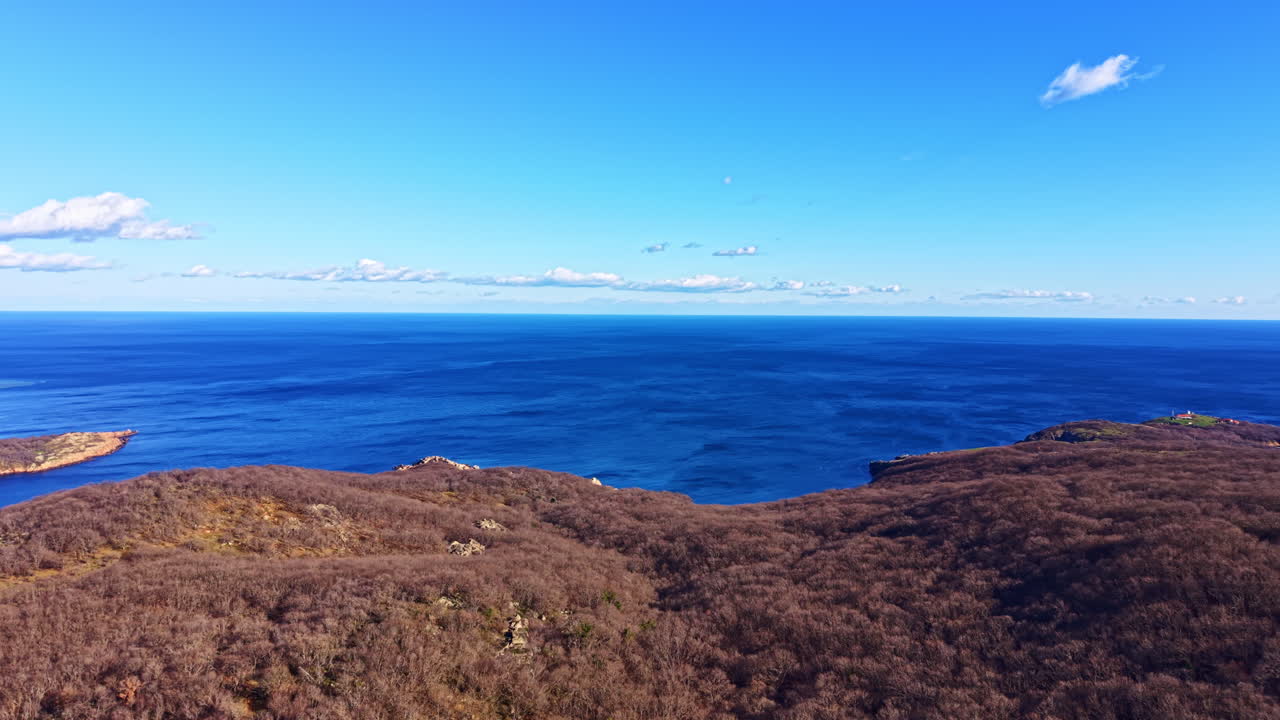 Vista aerea della costa che mostra colline marroni accanto all'oceano blu in una giornata di sole alle Hawaii a mezzogiorno