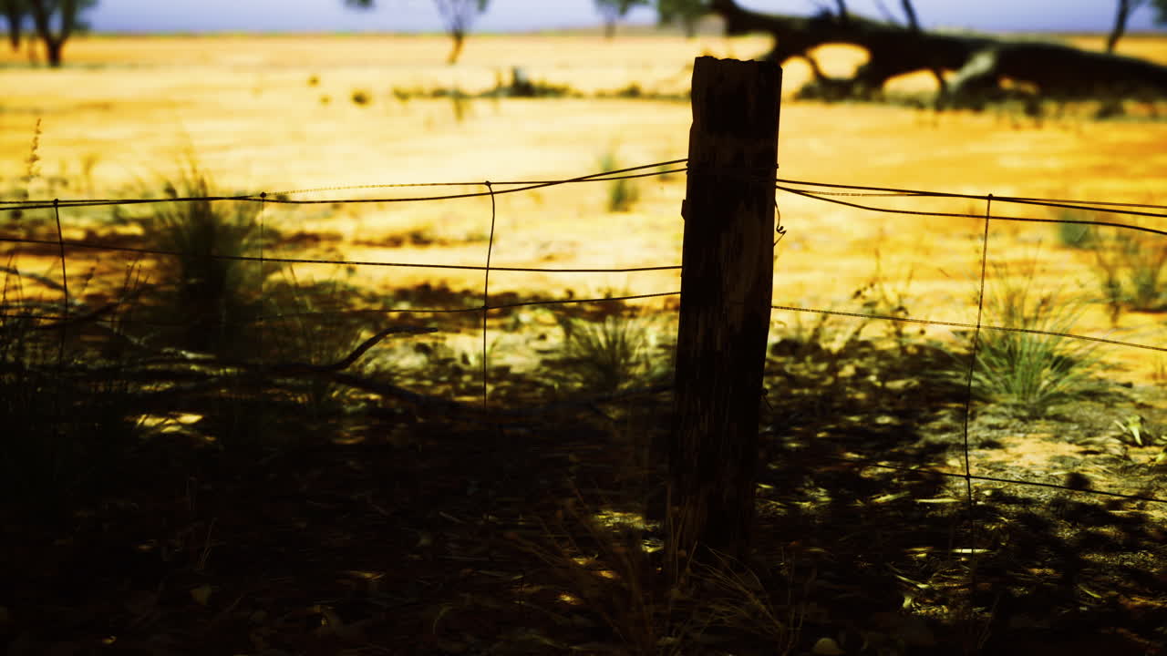 Barbed wire fence standing in dry landscape at golden hour light