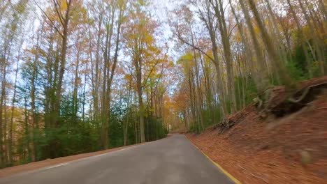 Driving,-missed-road,-closed-autumn-forest-Colorful-autumn-in-the-mountain-forest-ocher-colors-red-oranges-and-yellows-dry-leaves-beautiful-images-nature-without-people