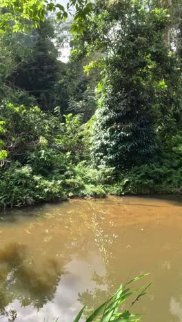 tranquil river surrounded by lush greenery