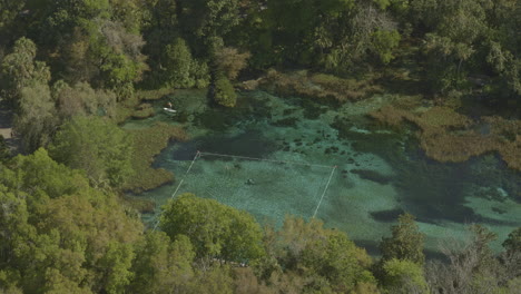 Rainbow-Springs-Florida-Aerial-v2-tilt-down-view-over-swimming-area-along-the-river---DJI-Inspire-2,-X7,-6k---March-2020