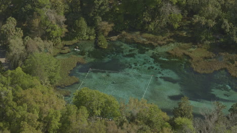 Rainbow-Springs-Florida-Aerial-V2,-Nach-Unten-Geneigter-Blick-über-Den-Badebereich-Entlang-Des-Flusses-–-DJI-Inspire-2,-X7,-6k-–-März-2020