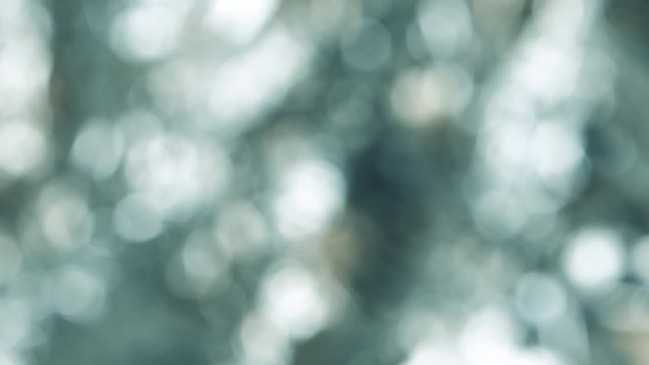 bokeh naturaleza luz del sol fondo abstracto, verde fuera de enfoque telón de fondo luminoso