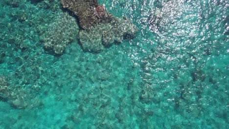 Isla-Grande-Del-Arrecife-De-Coral-Hawaiano