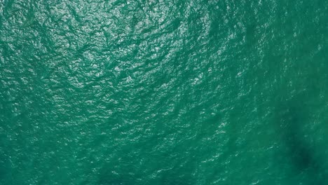 beautiful abstract emerald seawater background with the sun reflecting on the water surface