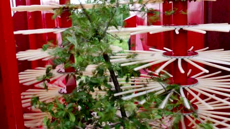 cherry tree in a harvesting machine