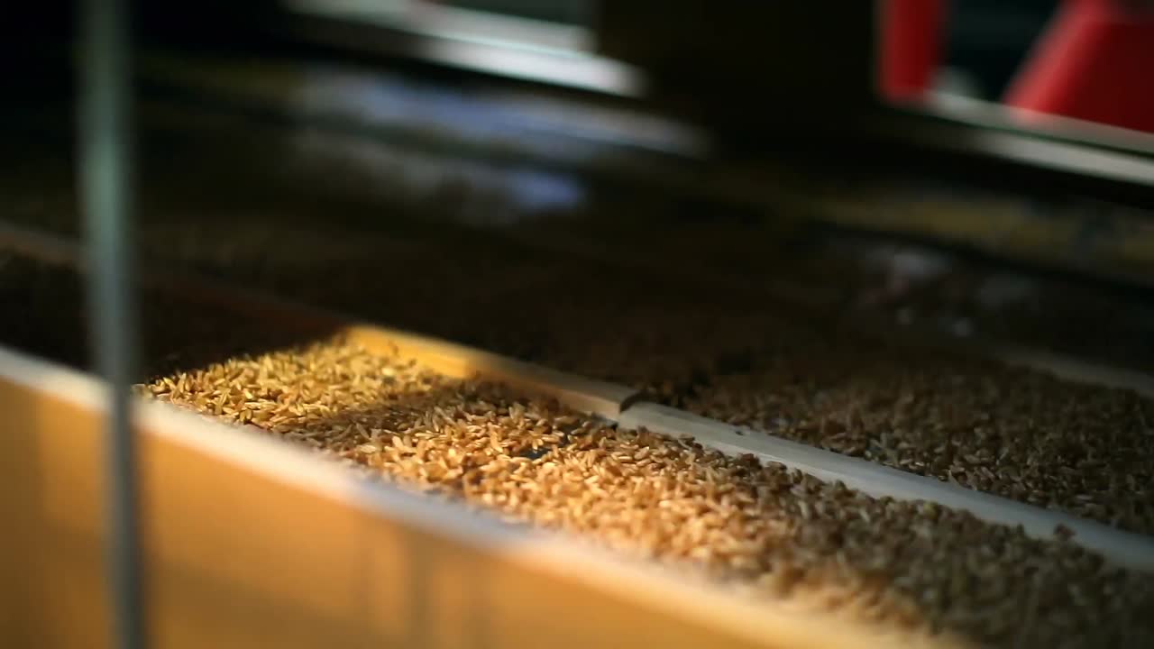 trillado de trigo en la fábrica 4k