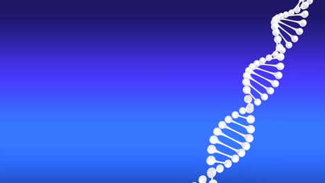 video of dna strand spinning with copy space on blue background
