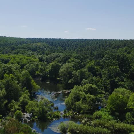 river in the forest. flight over the beautiful blue lake on green trees background. nature in summer. amazing scenery. aerial view.