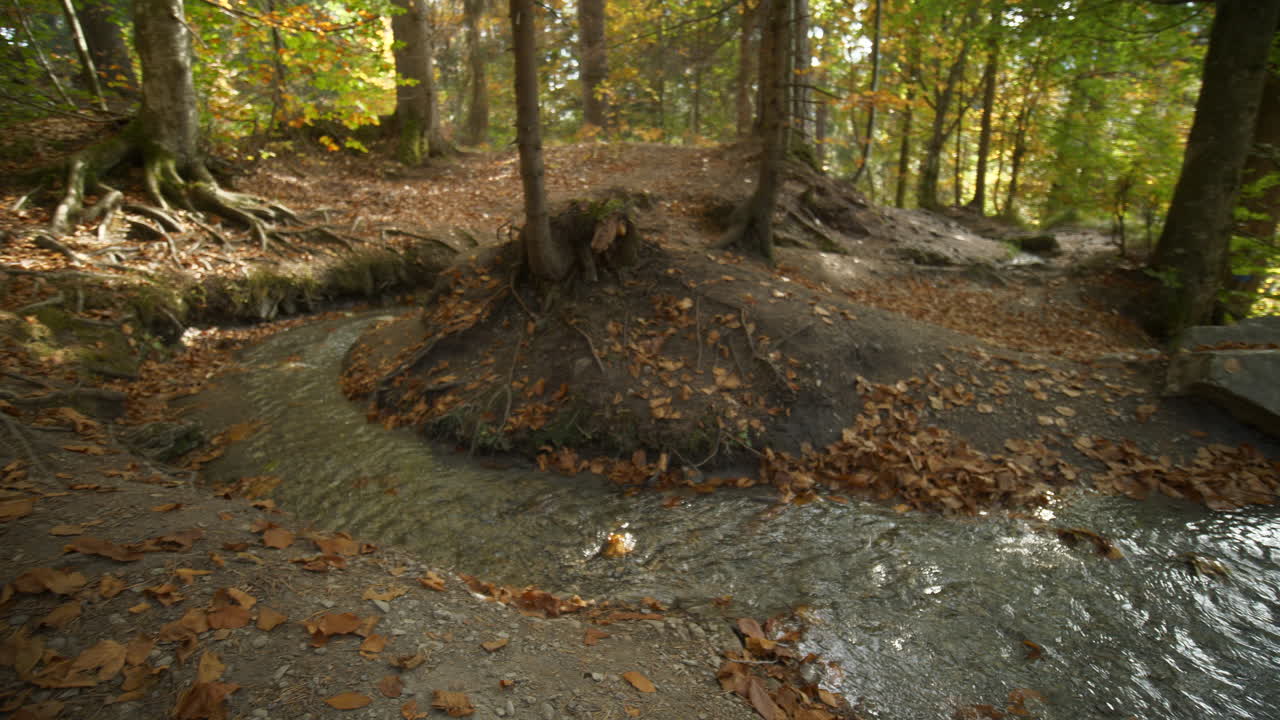 Pan left along a Creek