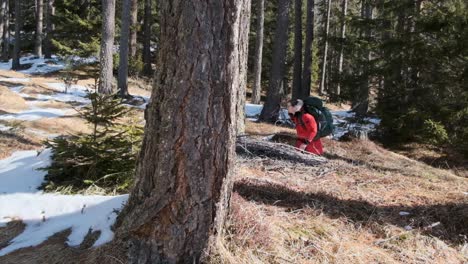 Tiro-De-Cardán-De-Perfil-Del-Hombre-Caminando-Por-El-Bosque-Nevado-En-Cámara-Lenta