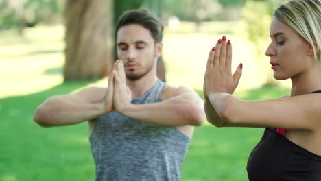 Un-Joven-Y-Una-Mujer-Meditando-En-Una-Pose-De-Yoga-En-Un-Entrenamiento-Al-Aire-Libre-En-El-Parque-De-Verano