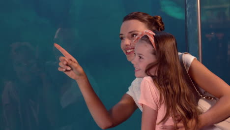 mother and daughter looking at fish tank