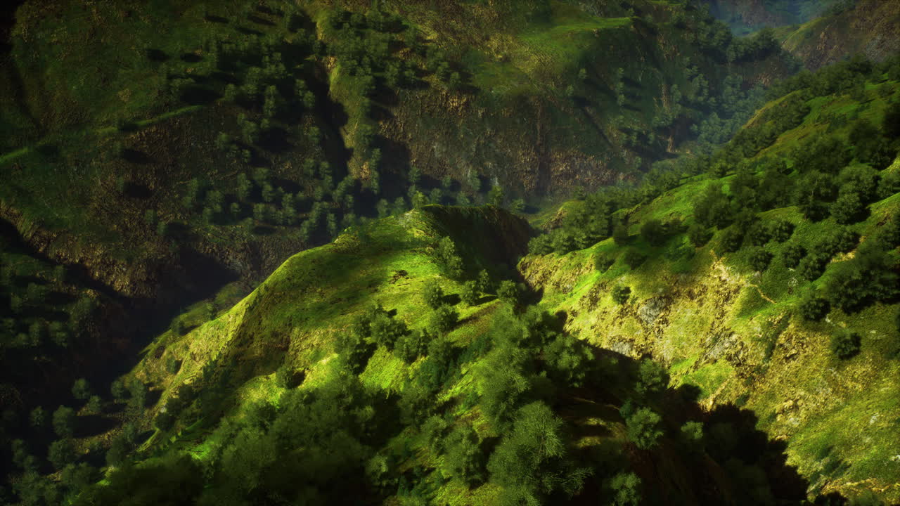 bosque tropical en la vista matutina de las tierras altas de malasia