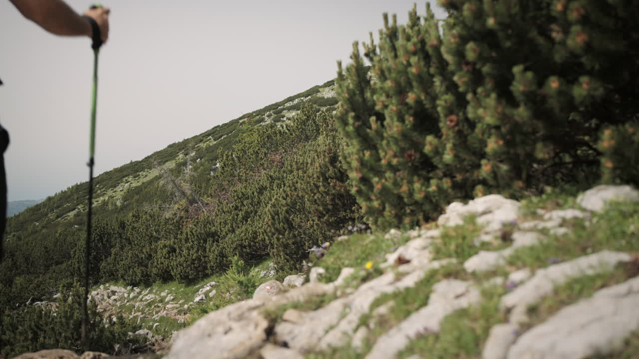 excursionista con bastones de senderismo y mochila gris caminando por un camino rocoso rodeado de coníferas, dando un pequeño salto