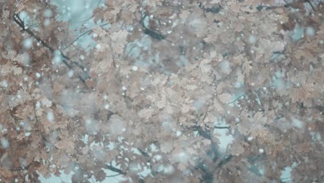 a close-up of snowflakes whirling during a snowstorm, featuring a tree with withered leaves in the background