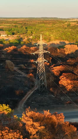 vertical drone shot of a pylon and power lines in front of scorched trees